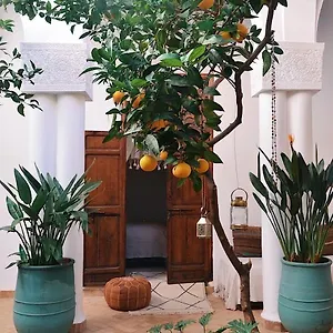 nosade-venue.marrakeshhotelsmorocco.com/